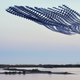 Illustration for article titled You've Never Seen Birds Fly Like This Before